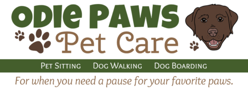 Odie Paws Banner
