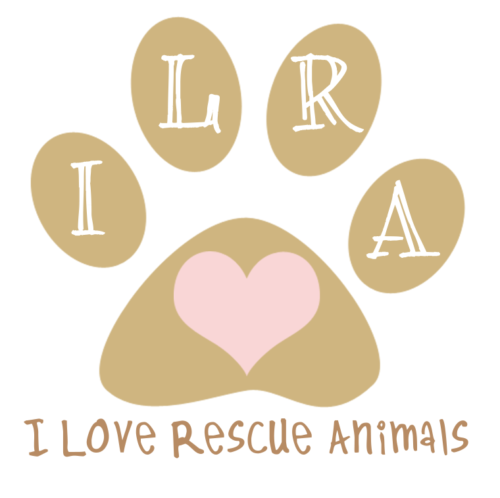 ILRA Logo